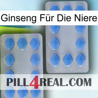Ginseng Für Die Niere 20